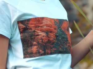 Canyon, Grand Canyon, Zion Nationalpark, Angels Landing, Nationalparks, USA, Westküste, Utah, Arizona, Canyon T-Shirt, Grand Canyon T-Shirt, Zion T-Shirt, Canyonmotiv,