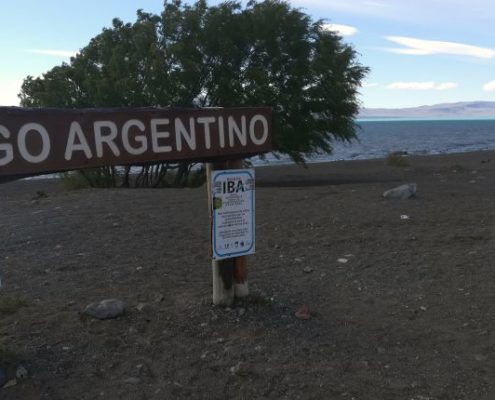 Farbenspektakel am Lago Argentino-4